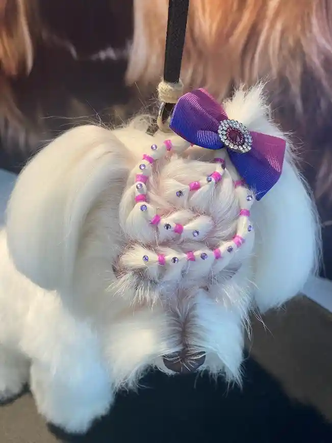 Galeria Mania Pet Center 6